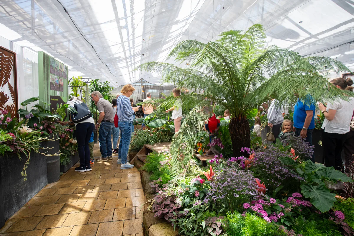 Impressionen vom Schmetterlingshaus im Gartencenter Meier in Dürnten